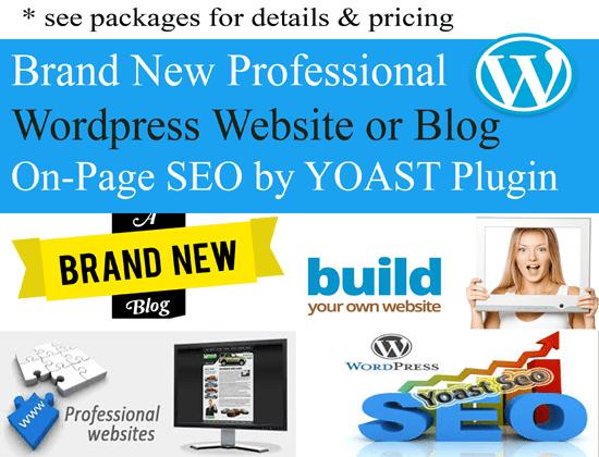 I will create professional wordpress website, blog with yoast SEO