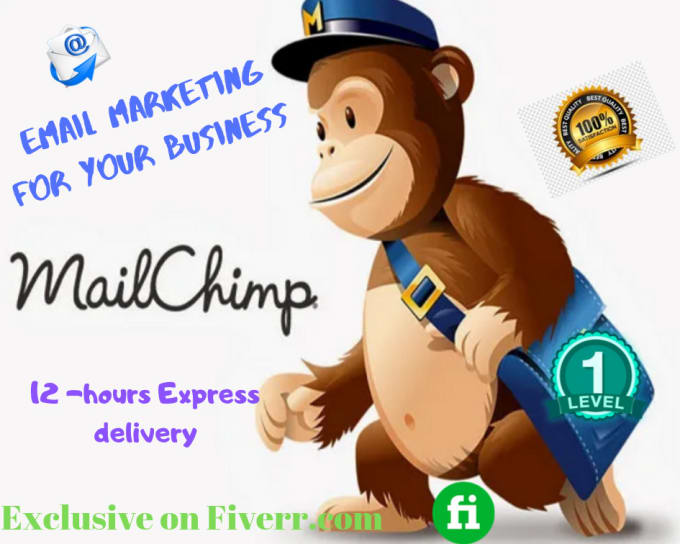 I will design mailchimp email marketing template