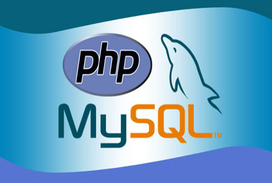 I will develop a custom and responsive website in PHP