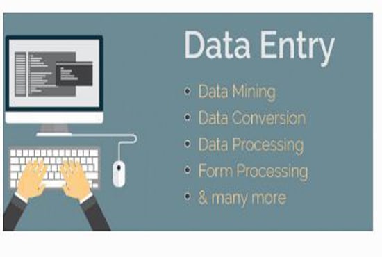 I will do any types of data entry work