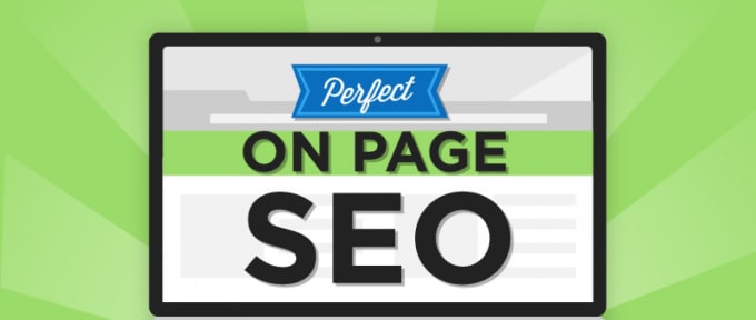 I will do on page seo perfectly