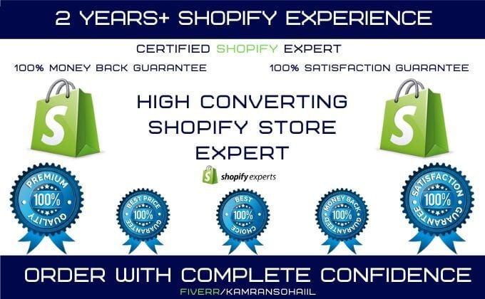 I will do online shopify ecommerce dropshipping store or single product website