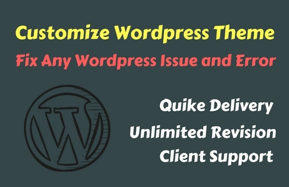 I will fix wordpress errors issues and customize wordpress theme