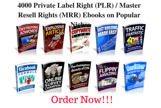 I will give you 4000 plr ebooks on over 500 inches