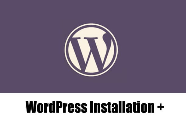 I will install WordPress and customize it as you wish