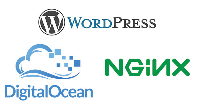 I will install wordpress in digital ocean ,vultr ,linode, hetzner,upcloud