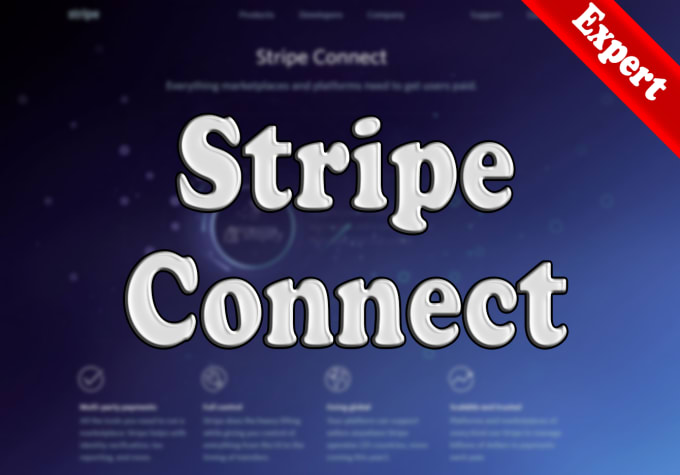 I will integrate stripe connect payment gateway and fix bugs