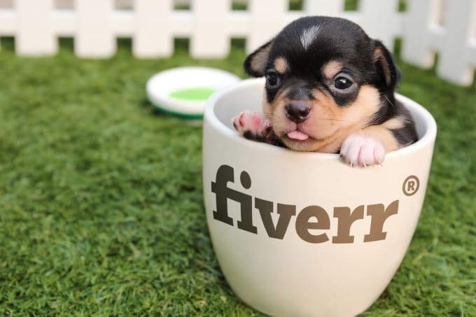 I will place your logo or text on mug with my cute puppy inside it