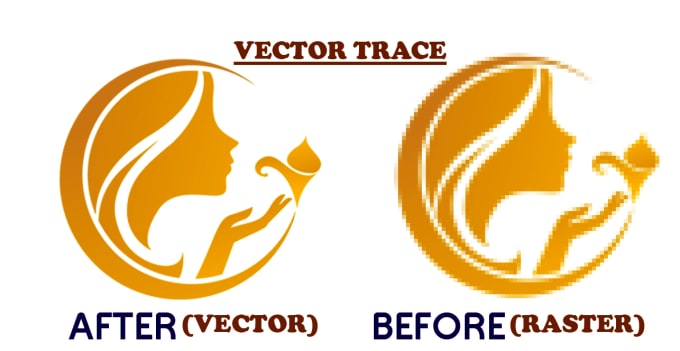 I will vector trace your logo
