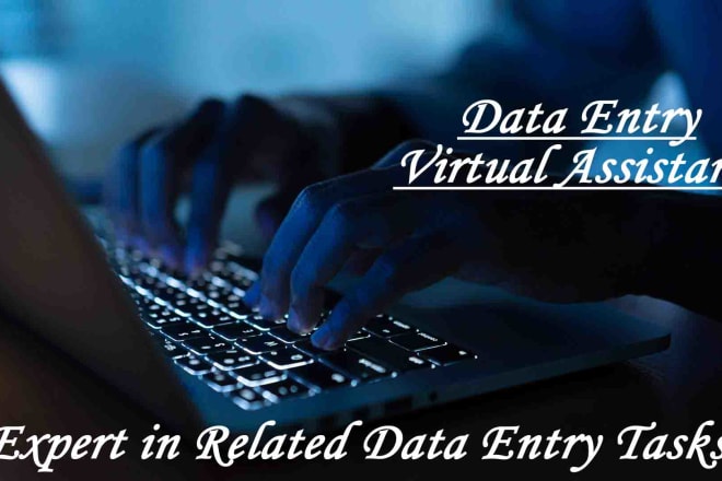 I will be virtual assistant for data entry jobs, copy paste job, excel work, online job