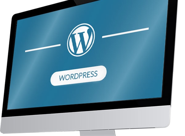 I will be your freelancer website developer in wordpress