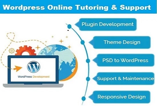 I will be your wordpress tutor, trainer, guru, helper or instructor
