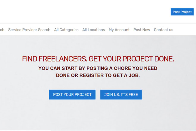 I will build pro freelancer wordpress website