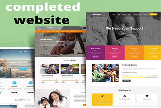 I will build professional business clone wordpress site customization security support