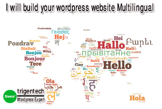 I will build your wordpress website multilingual using polylang