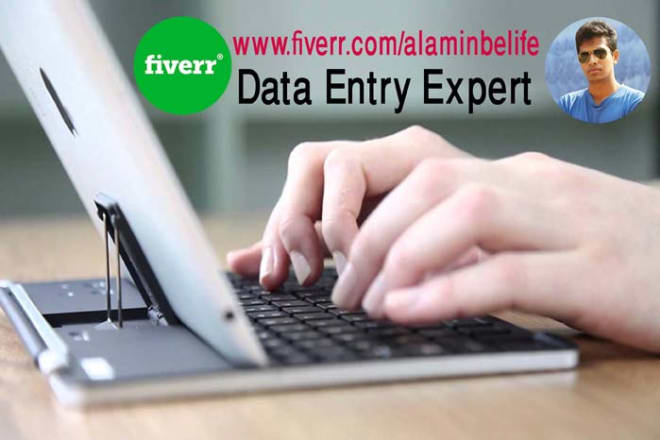 I will can do Perfect Data Entry, Collection and Data Processing