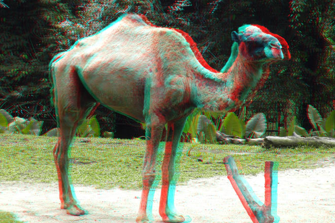 I will convert 2d image into 3d anaglyph