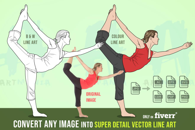 I will convert any image into super detail vector line art