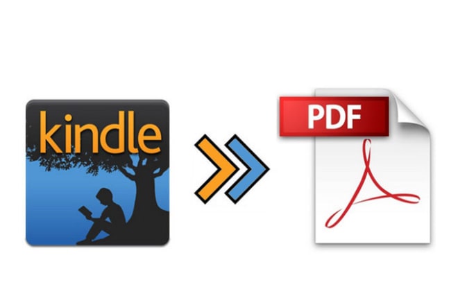 I will convert any kindle book with drm to pdf and word