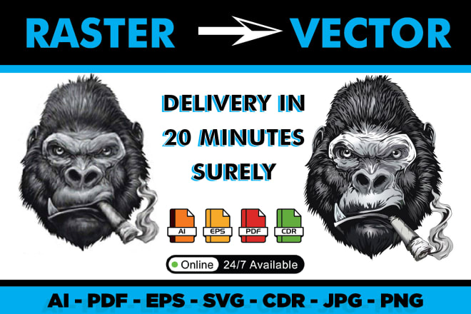 I will convert file into vector ai, psd, png high quality in 20 minutes