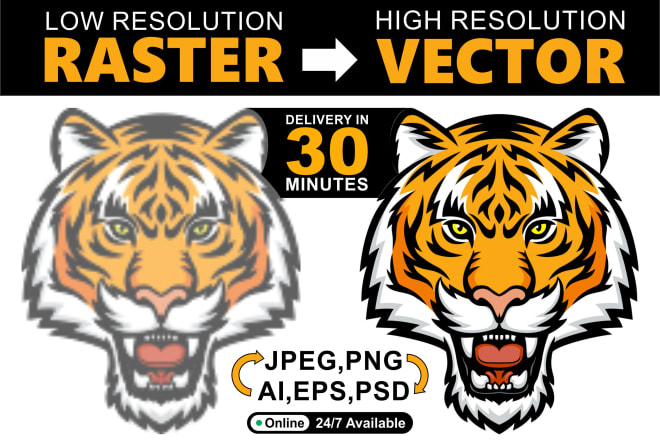 I will convert raster logo,image in vector file high resolution ai,png,jpg