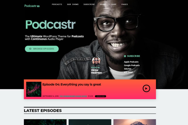 I will create a great wordpress website for djs and podcaster now 20 percent off