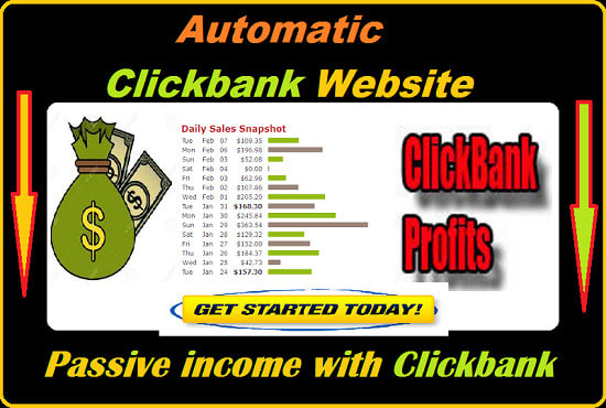 I will create a profitable automatic clickbank affiliate website