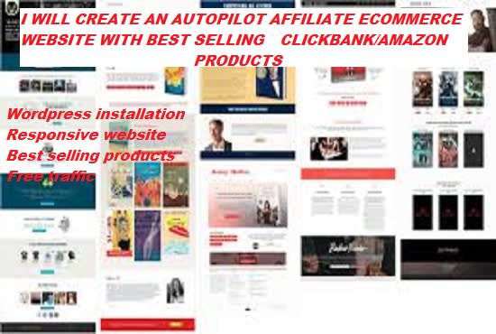 I will create an autopilot clickbank affiliate website with best selling products