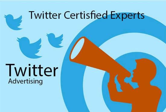 I will create twitter ads for promotion marketing