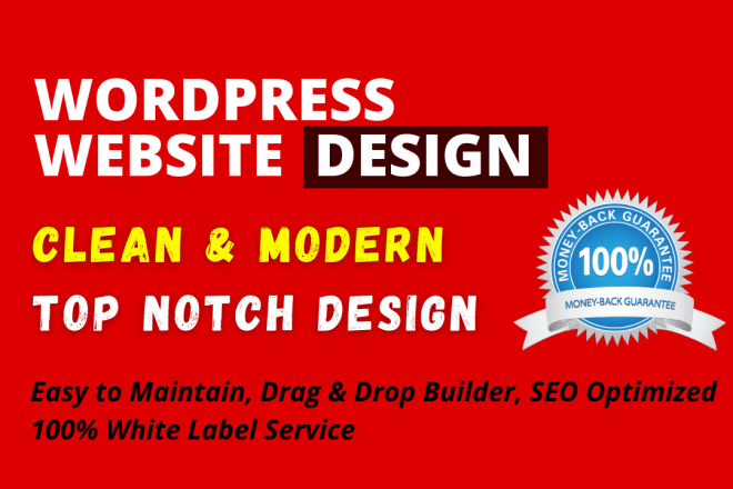 I will create wordpress website design or blog