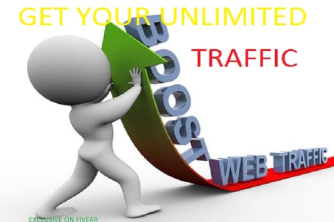 I will deliver real traffic to your website