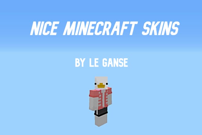 I will design 2 to 5 skins for minecraft java and bedrock