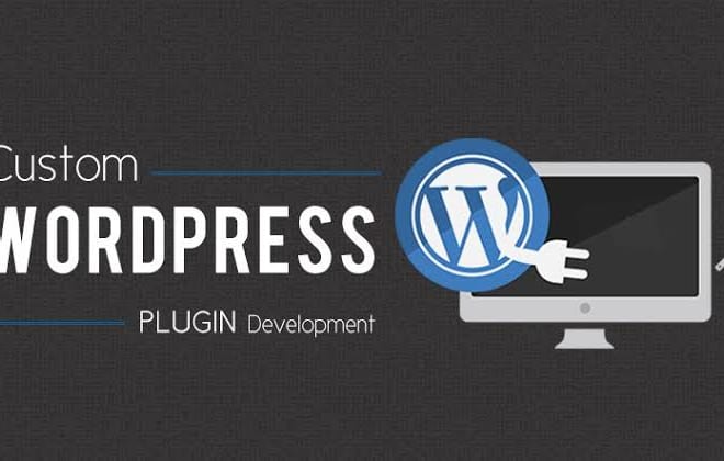I will develop custom wordpress plugin