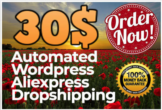 I will do automated aliexpress dropshipping store with wordpress