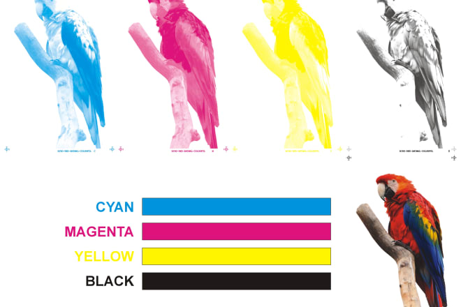 I will do color separation for screen printing, rgb to cmyk,pantone