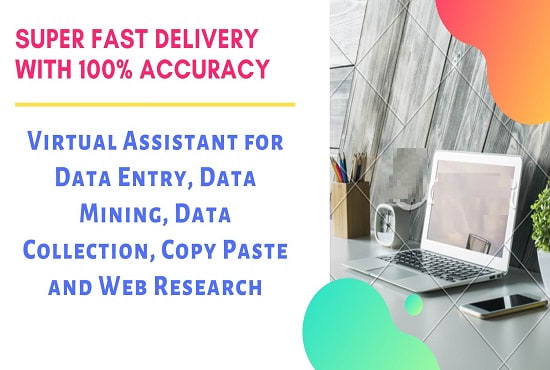 I will do excel data entry, copy paste, typing, data entry