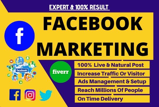 I will do excellent facebook marketing service for any business