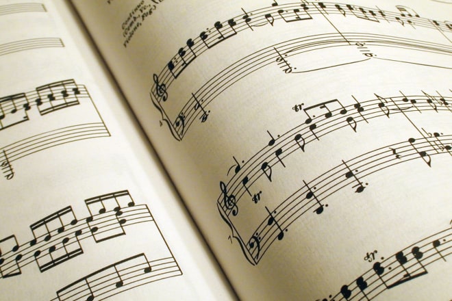 I will do musical professional transcriptions and sheet music