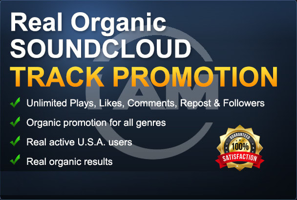 I will do organic soundcloud promotion for tracks to US audience