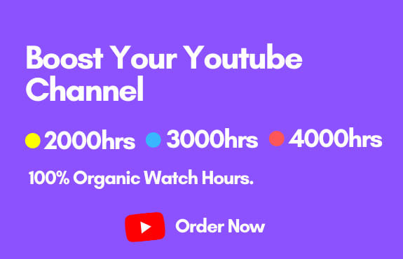 I will do organic youtube promotion to big audience