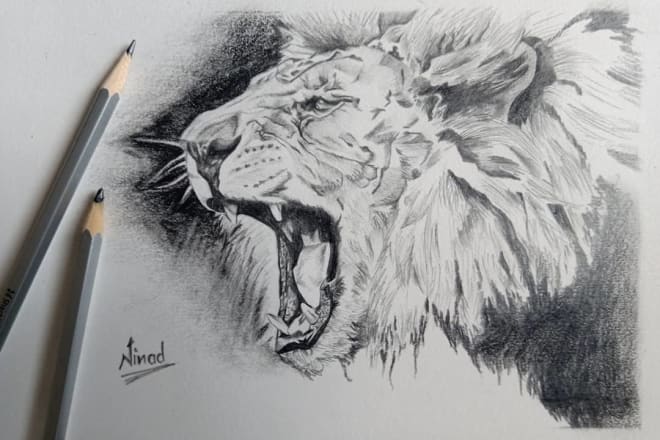 I will do realistic drawing of any animal