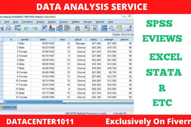 I will do statistics spss excel statistical data analysis