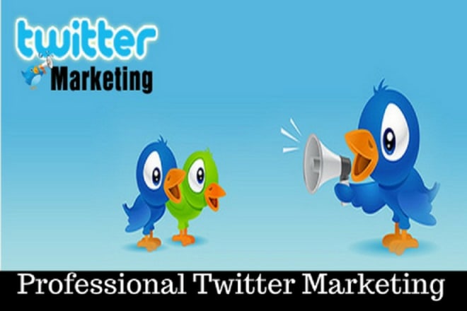 I will do twitter marketing perfectly for your brand