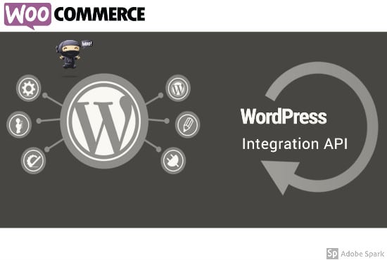 I will do wordpress woocommerce integration with any API