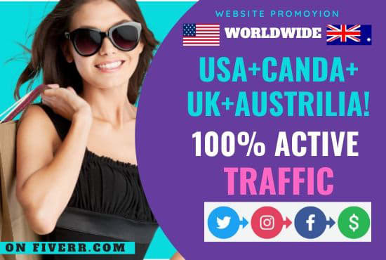 I will do your website marketing promote USA worldwide