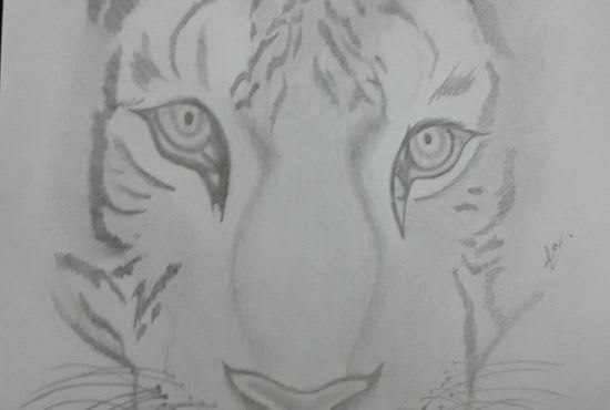 I will draw awesome drawings, realistic animal figures