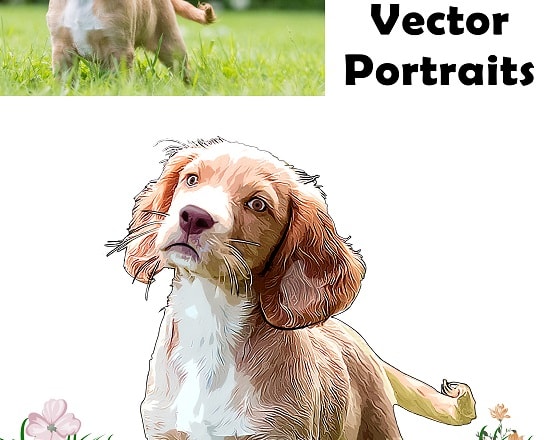 I will draw vector illustration of you