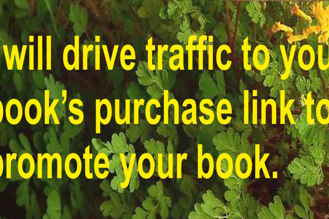 I will drive traffic to your book or website