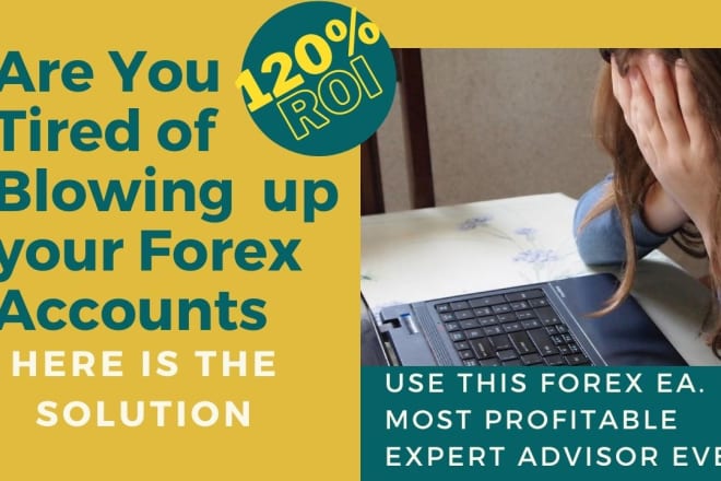 I will give forex expert advisor ea above 75 percent win rate