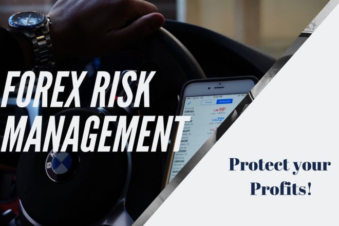 I will give you risk management plan for forex